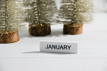 Decorative Christmas trees on a gray background. Concept of winter and winter holidays Christmas and New Year