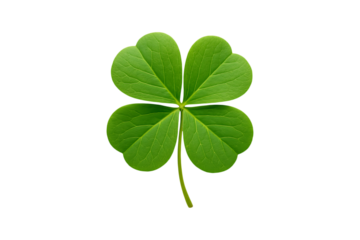 Bright green four leaf clover symbolizing luck and natural beauty Isolated on a Transparent Background