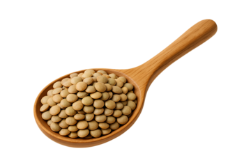 Brown lentils arranged neatly in wooden spoon presenting organic dried legumes isolated on a transparent background