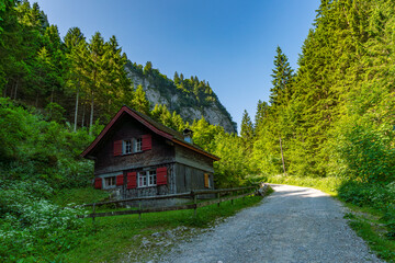 Serene Alpine Cabin Nestled Between Lush Forests and Majestic Peaks Near Saemtisersee Lake