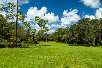 Large, green, grassy field surrounded by trees under a blue sky with white clouds. 