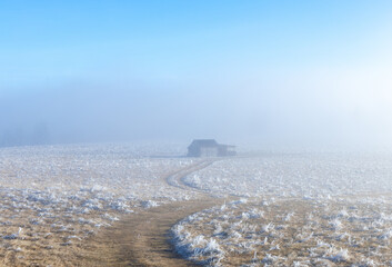 Frosty landscape featuring a rustic hut in the distance early morning with a heavy mist, fog. A serene, frosty winter landscape featuring a small cabin at the end of a dirt road, veiled in morning fog