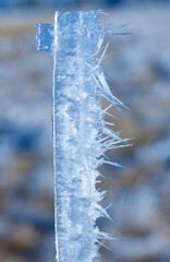 The striking, feathery ice formation on the plant stems in the image is called hoarfrost, rime ice, ice needles