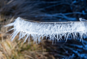 The striking, feathery ice formation on the plant stems in the image is called hoarfrost, rime ice, ice needles