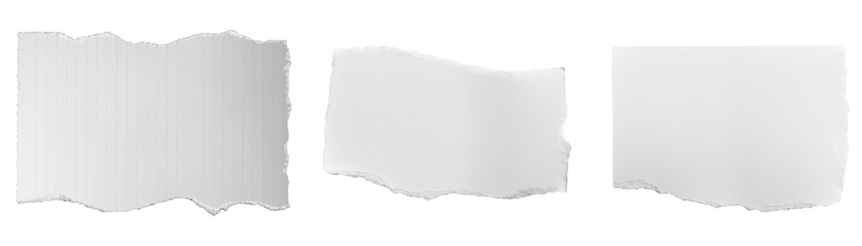 Papier gerissen, isoliert auf wei&szlig;en Hintergrund, Freisteller, Transparent