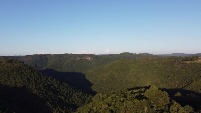 Drone footage of rural Flores da Cunha landscape with valleys, araucaria trees and lush nature during autumn, scenic countryside view in Serra Gaucha, Brazil
