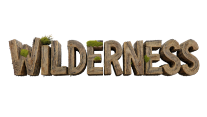 Wilderness Word Art with Wood and Moss