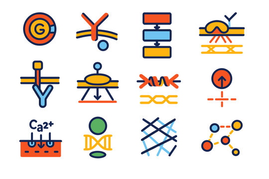 Cellular Mechanotransduction Icons. Flat vector icons of cellular mechanotransduction pathways: Rho GTPase, YAP/TAZ pathway, MAPK