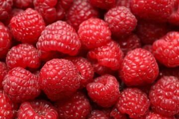 Fresh ripe raspberries as background, closeup view