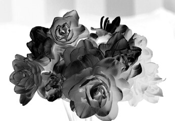 czarno-białe kwiaty w negaatywie, black and white flowers in negative,
