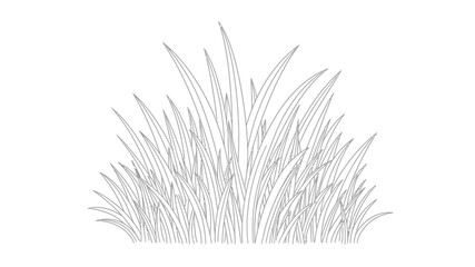 Obraz premium A detailed black and white illustration showing a clump of tall spiky grass or foliage