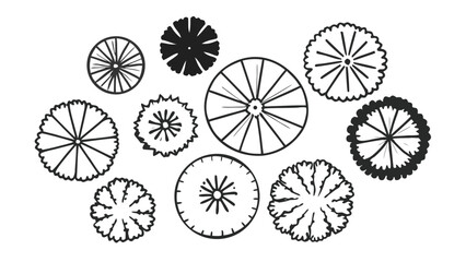 Hand-Drawn Top View Tree Vector Illustration, Overhead Tree Canopy Symbols for Landscape and Site Plan Design black and white