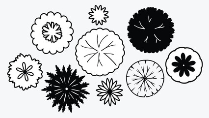 Hand-Drawn Top View Tree Vector Illustration, Overhead Tree Canopy Symbols for Landscape and Site Plan Design black and white