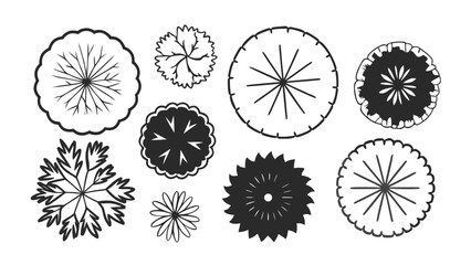 Hand-Drawn Top View Tree Vector Illustration, Overhead Tree Canopy Symbols for Landscape and Site Plan Design black and white