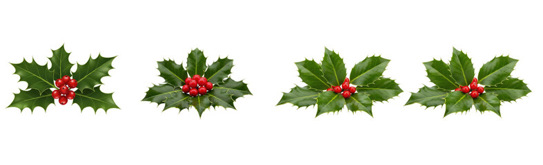 Holly leaves with red berries set isolated on white background