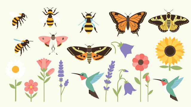 A colorful nature collection featuring a butterfly and flowers in a floral spring design set with summer insect wings and vector illustration art patterns