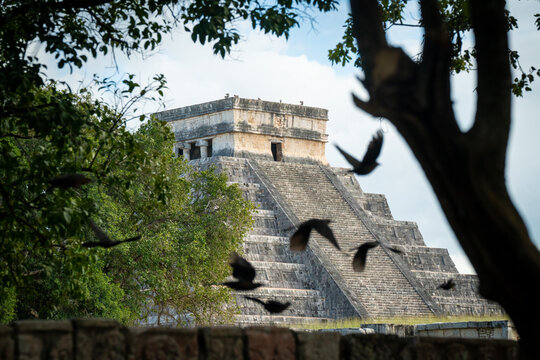 Ancient pyramid framed by vibrant nature and birds