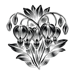 Romantic Bleeding Heart Flower Vector Design with Delicate Heart Shaped Blooms and Curved Stems Perfect for Greeting Cards and Floral Projects