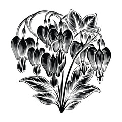 Bleeding Heart Flower Vector Illustration with Pink Heart Shaped Petals on White Background Detailed Botanical Artwork for Design Projects