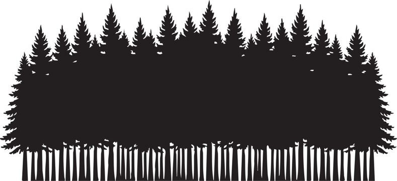 Dense Pine Tree Wall Horizon Line Silhouettes isolated on white background