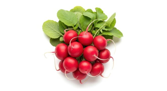 Fresh radish bunch isolated on white background.