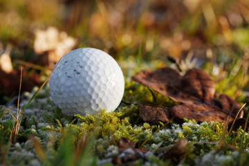 Used golf ball that finds itself in a difficult situation after the shot that every golfer knows