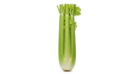 Fresh green celery stalks on a white background.