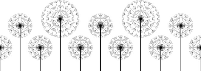 Seamless dandelion pattern. isolated on white background