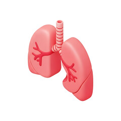 3D human lungs anatomy icon with trachea and bronchial tree, realistic respiratory system illustration for medical education healthcare