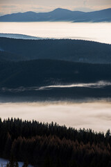 Layers of Fog over Mountain Forest. Layered mountain forest covered in drifting fog and soft light, creating a calm, atmospheric landscape ideal for nature, environment and background concepts.