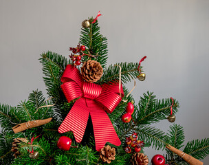 natural spruce branches decorated with pine cones
