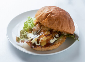 Delicious chicken burger on white plate with lettuce and sauce