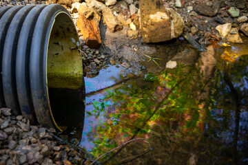 Sewage pollution.A corrugated pipe with green water sticks out of the ground.