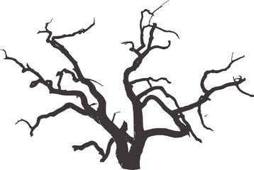 Bare twisted tree branches black and white silhouette