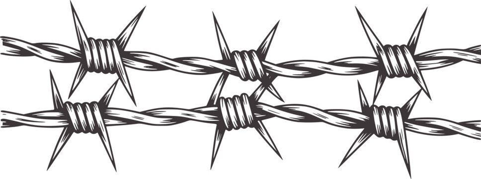 Black and white barbed wire line barbs spikes