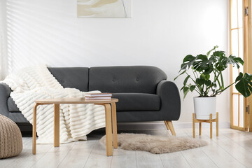 Stylish room with monstera houseplant and comfortable sofa. Interior design