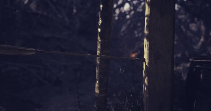 An arrow is embedded in a tree trunk, showcasing the skill of archery. The setting is a dense forest with natural lighting highlighting the surrounding foliage.