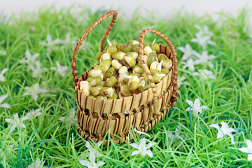 protein, vegetable and animal origin