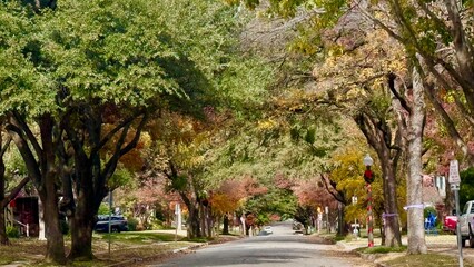 Texas Christian University radiates the beauty of autumn in Fort Worth, Texas, USA.