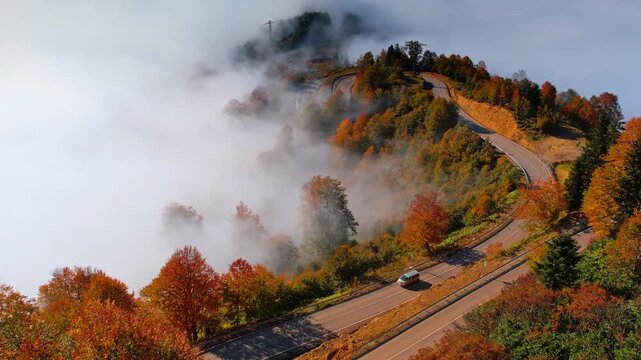 Wavy dangerous road in the mountains with colorful trees in autumn. Thick white mist rises in the air. The Caucasian Mountains, Georgia.