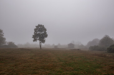 Hıdırnebi Plateau, located in Ak&ccedil;aabat district at an altitude of 1600 meters, is the closest plateau to Trabzon city center.