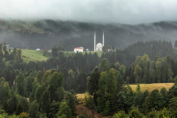 Hıdırnebi Plateau, located in Ak&ccedil;aabat district at an altitude of 1600 meters, is the closest plateau to Trabzon city center.