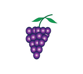 A bunch grapes with leaves. Vector illustration.