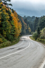 An autumn scene in Bolu, along an intercity road and the surrounding forest...