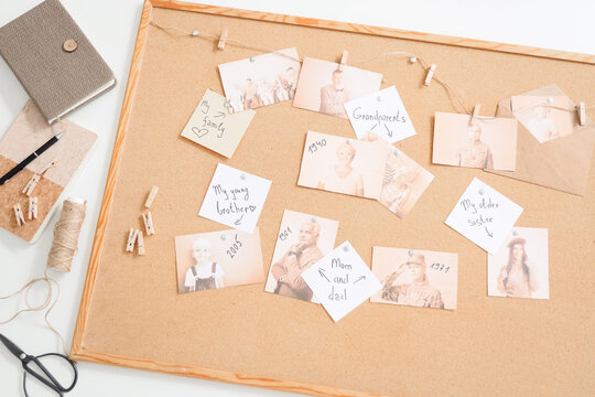 Board with family tree on table, top view