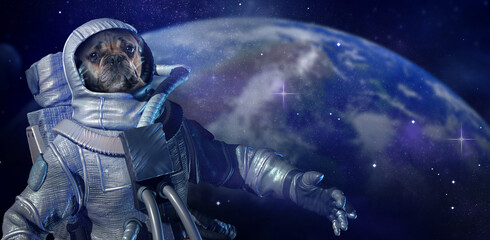 Fototapeta premium Dog astronaut wearing special suit against planet in space