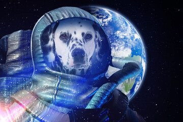 Dog astronaut wearing special suit against planet in space