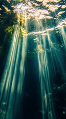 Obraz premium Sunlight beams through clear water creating underwater atmosphere