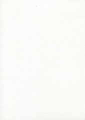 White Paper Texture Watercolor Background, Clear Empty Grainy Vertical Light Backdrop in Trendy Cloud Dancer Color of the Year 2026