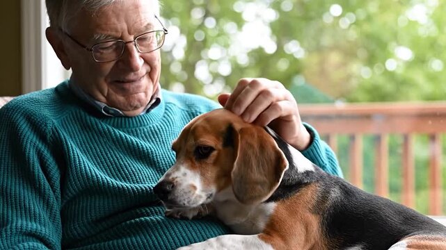 Elderly man affectionately petting beagle dog outdoor setting